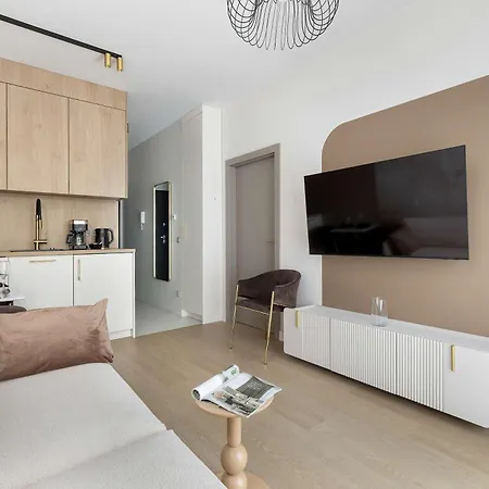 Stylowy Z Klimatyzacja I Balkonem Blisko Starego Miasta By Renters 슈체친